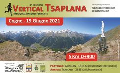 Vertical Tsaplana a Cogne, Valle d'Aosta