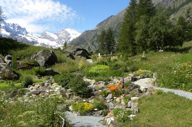 Giardino Botanico Alpino Paradisia a Cogne, Valle d'Aosta