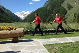 Nordic Walking a Cogne - Valle d'Aosta