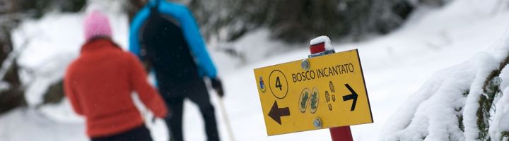 Raquetts à neige à Cogne - Vallée d'Aoste