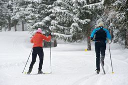 Ski de Fond à Cogne - Vallée d'Aoste
